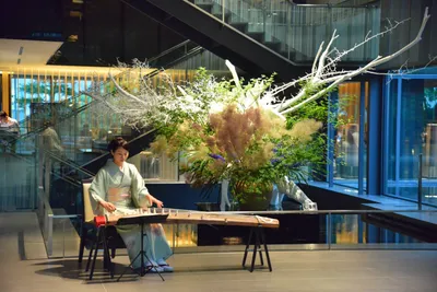 DSC_3184 (Large).JPG